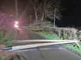 Baum auf Straße und Stromleitung gestürzt: Schlückingen teilweise ohne Elektrizität