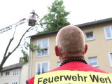 Wochenend-Bilanz: Blitz, Starkregen und heftige Windböen sorgten für unzählige Einsätze