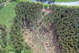 Sturmschäden im Hövelwald aus der Luft deutlich sichtbar