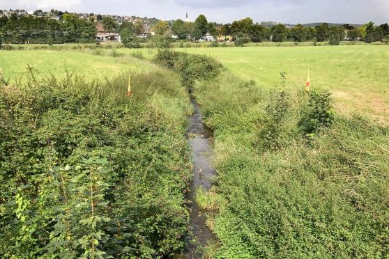 Der Wimbern-Bach mündet in die Ruhr FOTO: ANDREAS DUNKER