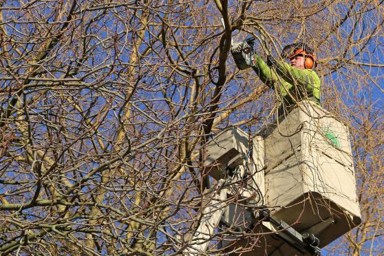 ARCHIVFOTO: ANDREAS DUNKER