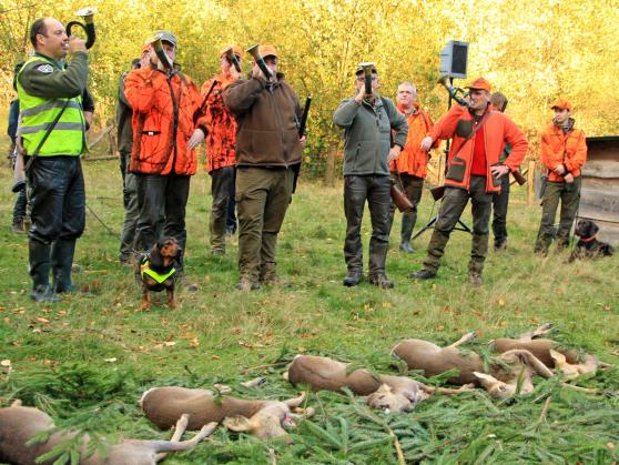 Jagd-Strecke zum Hubertus-Tag im "Wildwald" in Voßwinkel ARCHIVFOTO: ANDREAS DUNKER