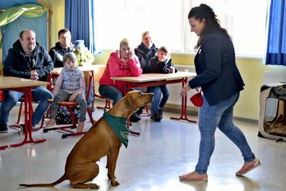 Die Klasse 1a von Konrektorin Giovanna Ferrara startet mit der im Jahre 2014 geborenen und seit 2015 im "Schuldienst" tätigen Rhodesian-Ridgeback-Hündin Mayla als Klassenhund. ARCHIVFOTO: ANDREAS DUNKER