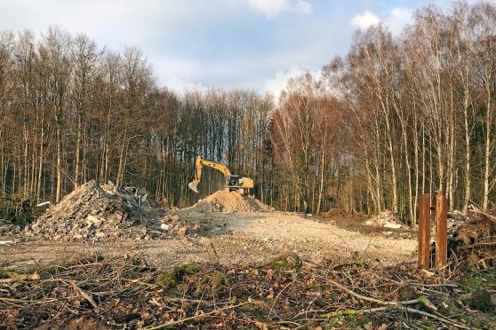 Direkt hinter den Bäumen an der Bundesstraße 63 sind die Abbruchbagger auf dem alten Kasernengelände aktiv. FOTO: ANDREAS DUNKER