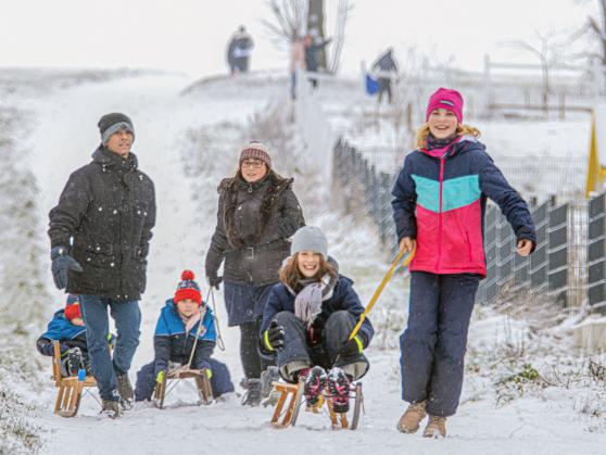 Rodeln im Schnee auf der Haar ARCHIVFOTO: ANDREAS DUNKER