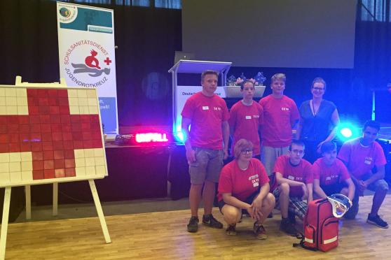 Die Schüler der Sekundarschule Wickede (Ruhr) errangen den achten von 120 Plätzen beim Schulsanitätswettbewerb in Lingen. Vordere Reihe (von links): Andrea Wilshaus, Jannik Tepel, Jannik Bork und Anthony Nittke – Hintere Reihe (von links): Florian Spengler, Niklas Brall, Kai-Nico Schnell und Janina Schlüter FOTO: SKW