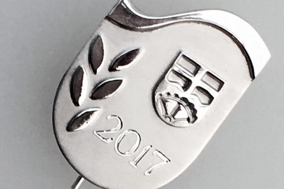 Ehrennadel der Gemeinde Wickede (Ruhr) zur Auszeichnung besonderer Sportler. Gestaltet von der Wimberner Goldschmiedin Sabine Schulte. ARCHIVFOTO: ANDFREAS DUNKER