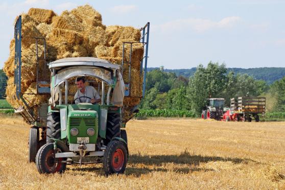 In Wimbern gibt es noch einige Bauernhöfe mit Voll- und Nebenerwerbslandwirten. Die einzelnen Siedlungen des Dorfes liegen umgeben von Feldflur und kleinen Wäldern. – Unser Foto zeigt Landwirt Gerhard Fildhaut bei der Strohernte auf einem Gerstenfeld. ARCHIVFOTO: ANDREAS DUNKER