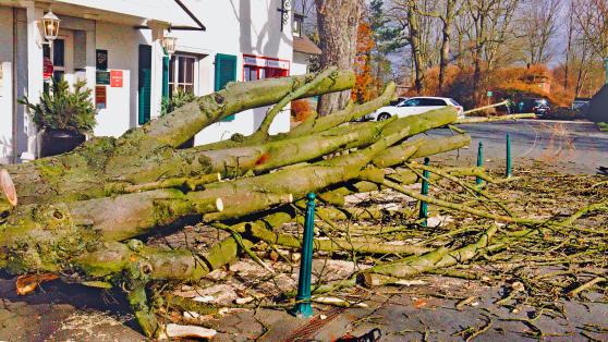 Vor dem Hotel und Restaurant "Haus Gerbens" an der Hauptstraße in Wickede fanden am Samstag bereits Aufräumarbeiten statt. Der vor dem Haupteingang umgestürzte Baum wurde zersägt und das Holz abtransportiert. FOTO: ANDREAS DUNKER