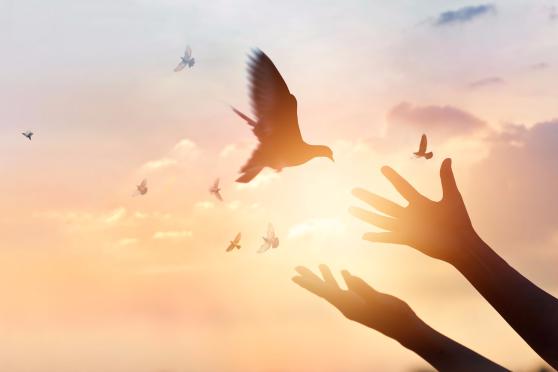 FOTO: IPOPBA- FOTOLIA