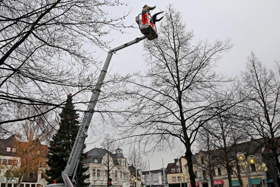 Mitarbeiter des Bauhofes Wickede montieren die Lichterketten in den Bäumen auf dem Wickeder Marktplatz FOTO: CARINA WESTERWELLE