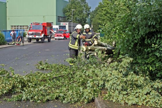 Windbruch in der Westerhaar: die Feuerwehr im Einsatz FOTO: ANDREAS DUNKER