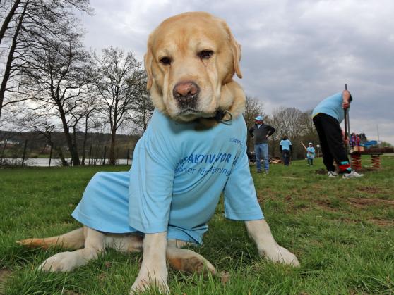 Selbst „Aaron“, der Hund des Schwimmmeisters, bekam zum Dank ein RWE-Shirt und wurde promt damit eingekleidet. FOTO: ANDREAS DUNKER