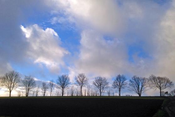 Wechselhaftes Wetter – aber immer wahnsinnig windig. Hier eine Aufnahme auf der Haar zwischen Wickede und Wiehagen. FOTO: ANDREAS DUNKER