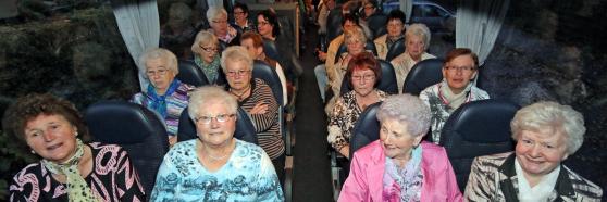 Blick in den ersten Reisebus nach Venlo FOTO: ANDREAS DUNKER