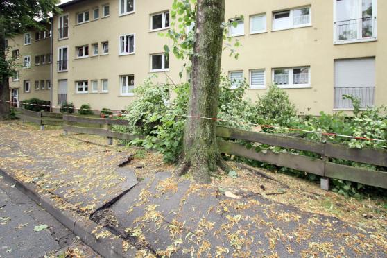 Die Kraft der Orkanböen wurde an dem hochgedrückten Asphalt der Bordsteine sichtbar. FOTO: ANDREAS DUNKER