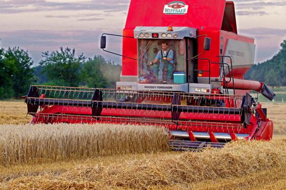 Kornernte in Wickede (Ruhr) ARCHIVFOTO: ANDREAS DUNKER
