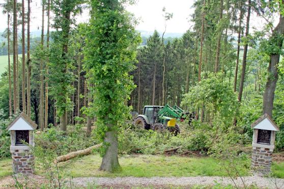 FOTO: ANDREAS DUNKER