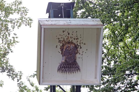 Blick auf den Kugelfang FOTO: ANDREAS DUNKER