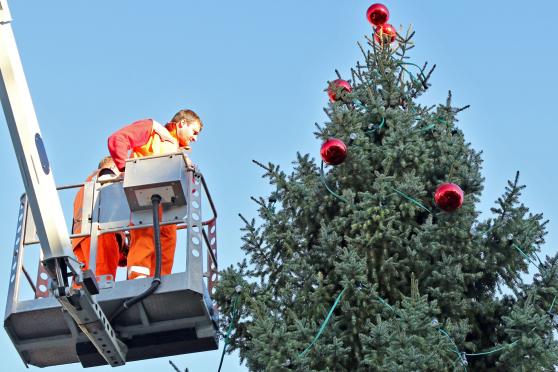 Mitarbeiter des gemeindeeigenen Bauhofes schmücken von einem Steigerwagen aus die Tanne auf dem Marktplatz. FOTO: ANDREAS DUNKER