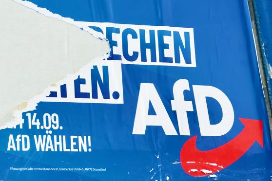 Teil eines AfD-Wahlplakates am Bahnhof in Wickede FOTO: ANDREAS DUNKER