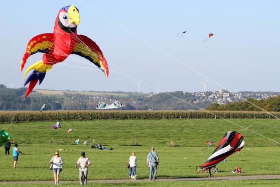 Ein Großdrachen in Form eines bunten Papageis – im Hintergrund die Skyline von Wickede FOTO: ANDREAS DUNKER
