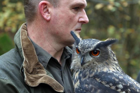 Falkner mit Eule im "Wildwald" in Voßwinkel ARCHIVFOTOS: ANDREAS DUNKER
