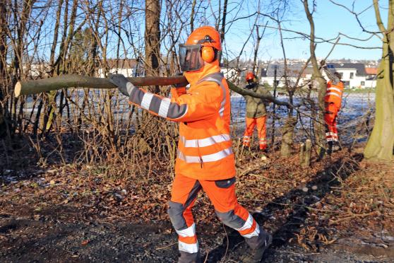 Bauhofmitarbeiter haben die Straßenseite frei geschnitten und Bäume gefällt. ARCHIVFOTO: ANDREAS DUNKER 